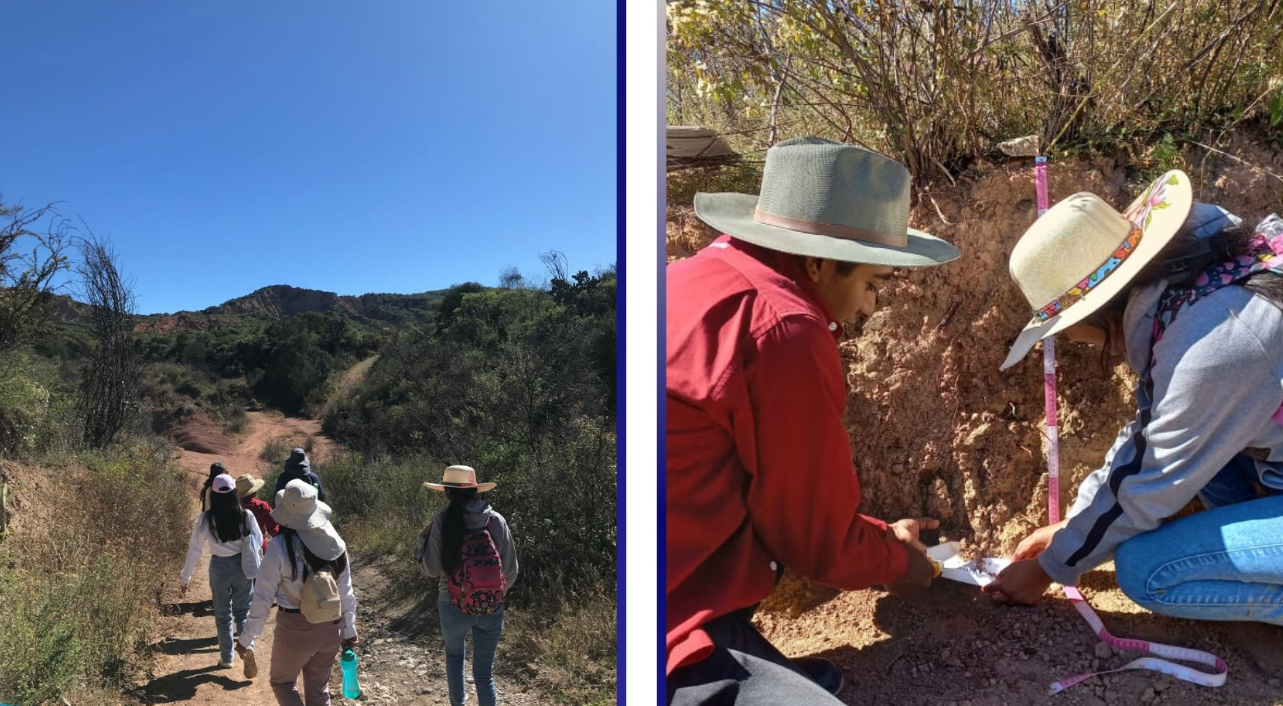 Desarrollo Comunitario